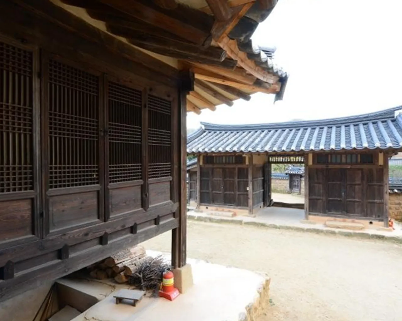대표 사진