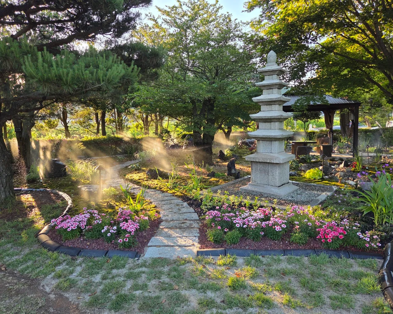 대표 사진