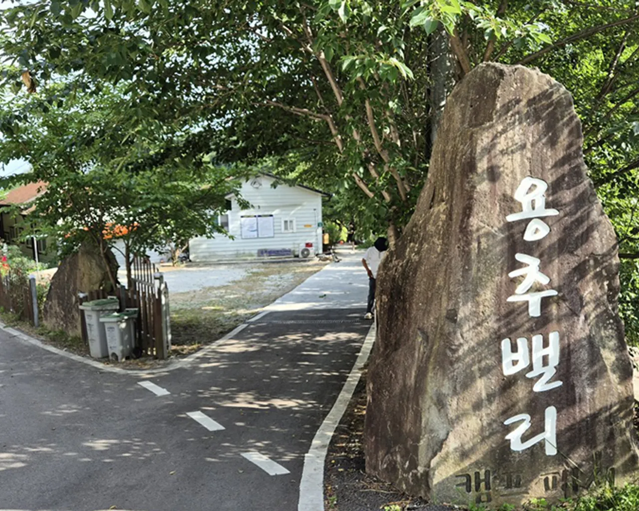 대표 사진