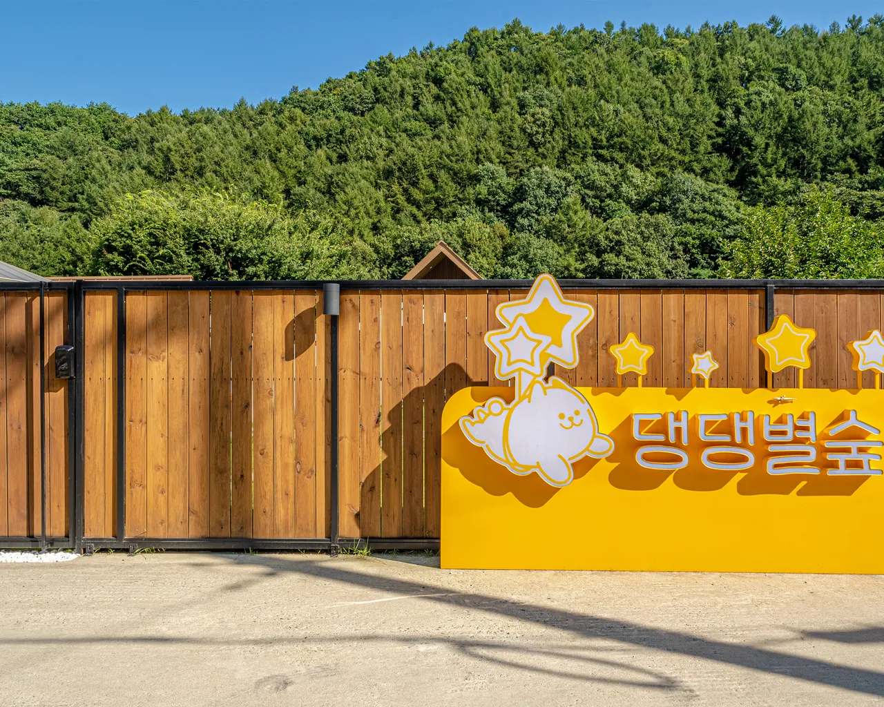 대표 사진