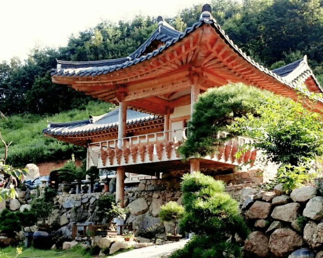 대표 사진
