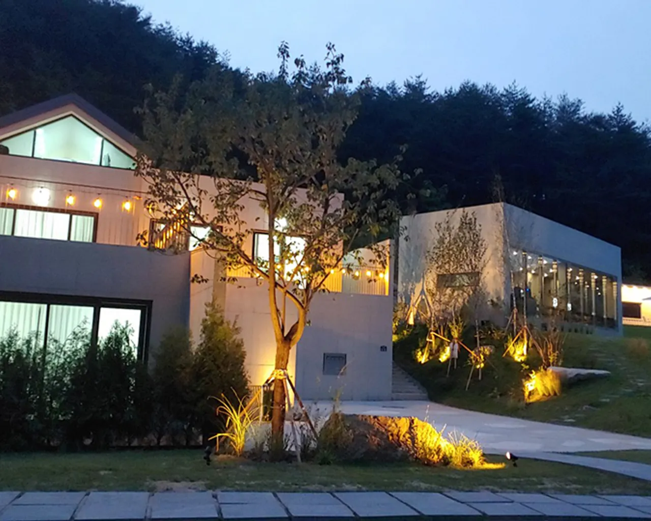 대표 사진