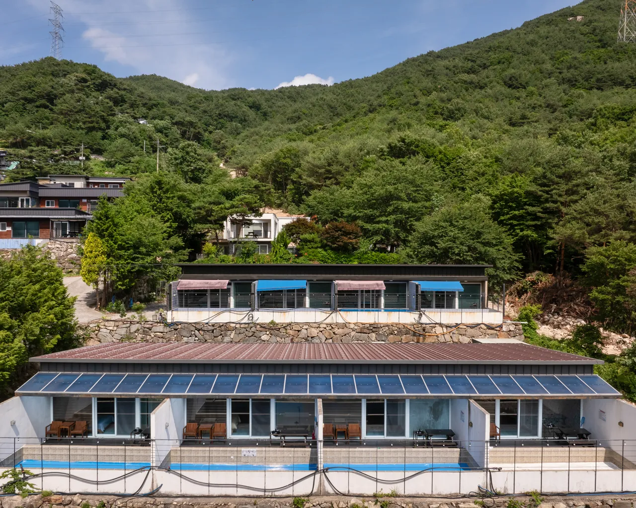 대표 사진