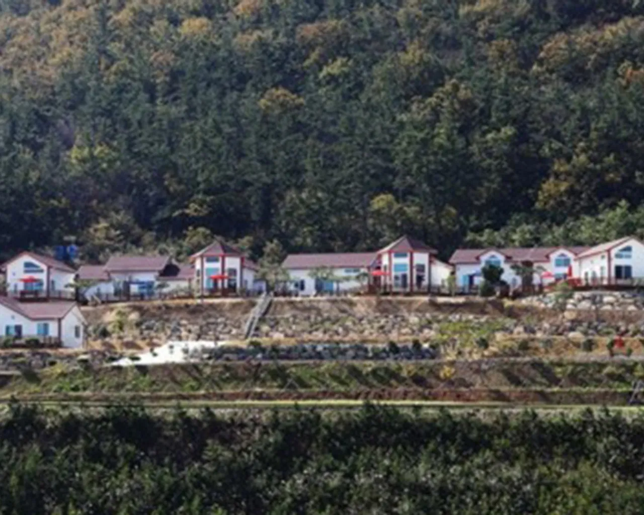 대표 사진