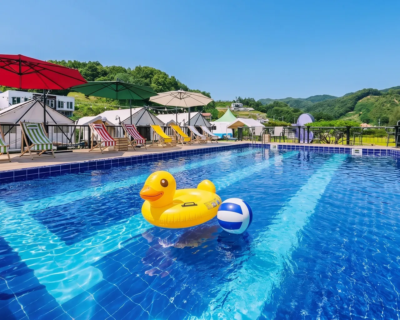 대표 사진