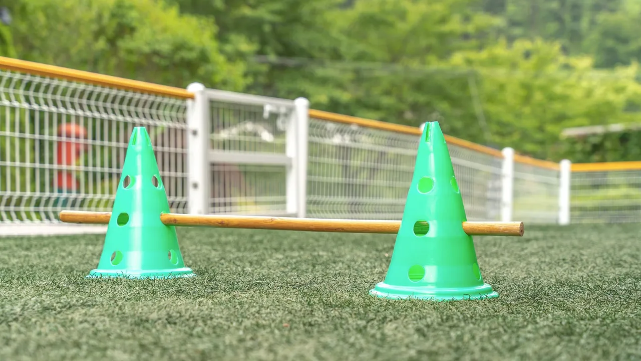 하이몽 애견 키즈 풀빌라 펜션 사진