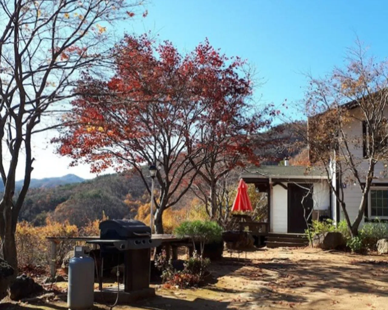 대표 사진
