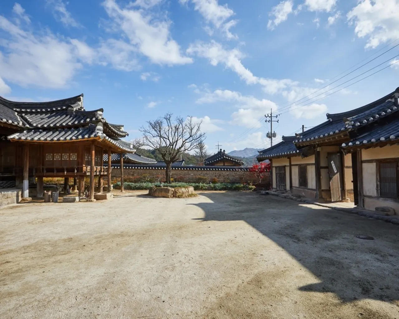 대표 사진