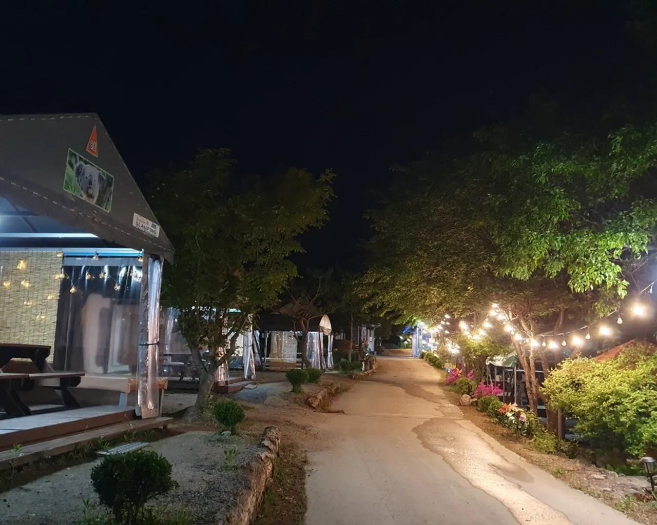 대표 사진