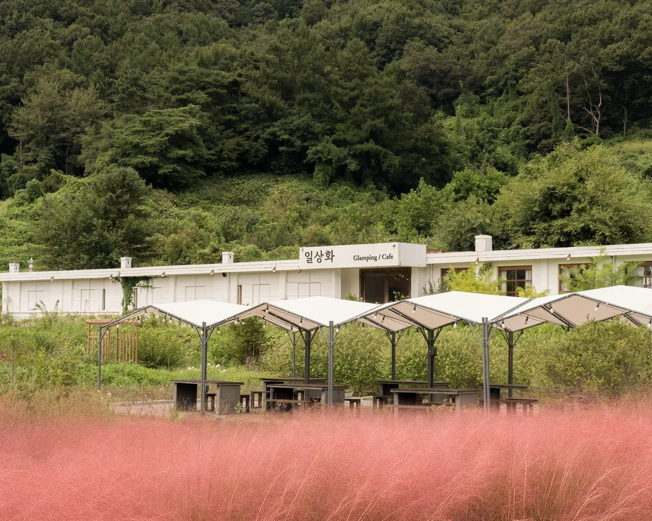 대표 사진