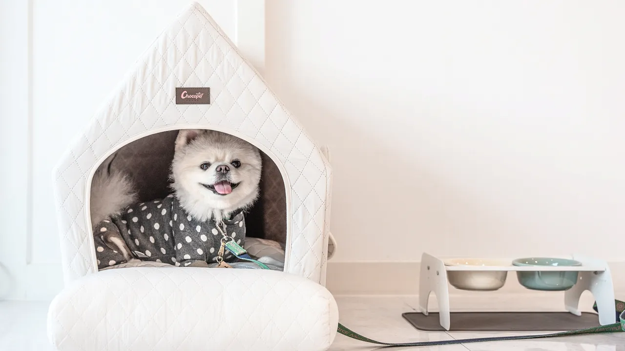라인뷰 풀빌라 사진