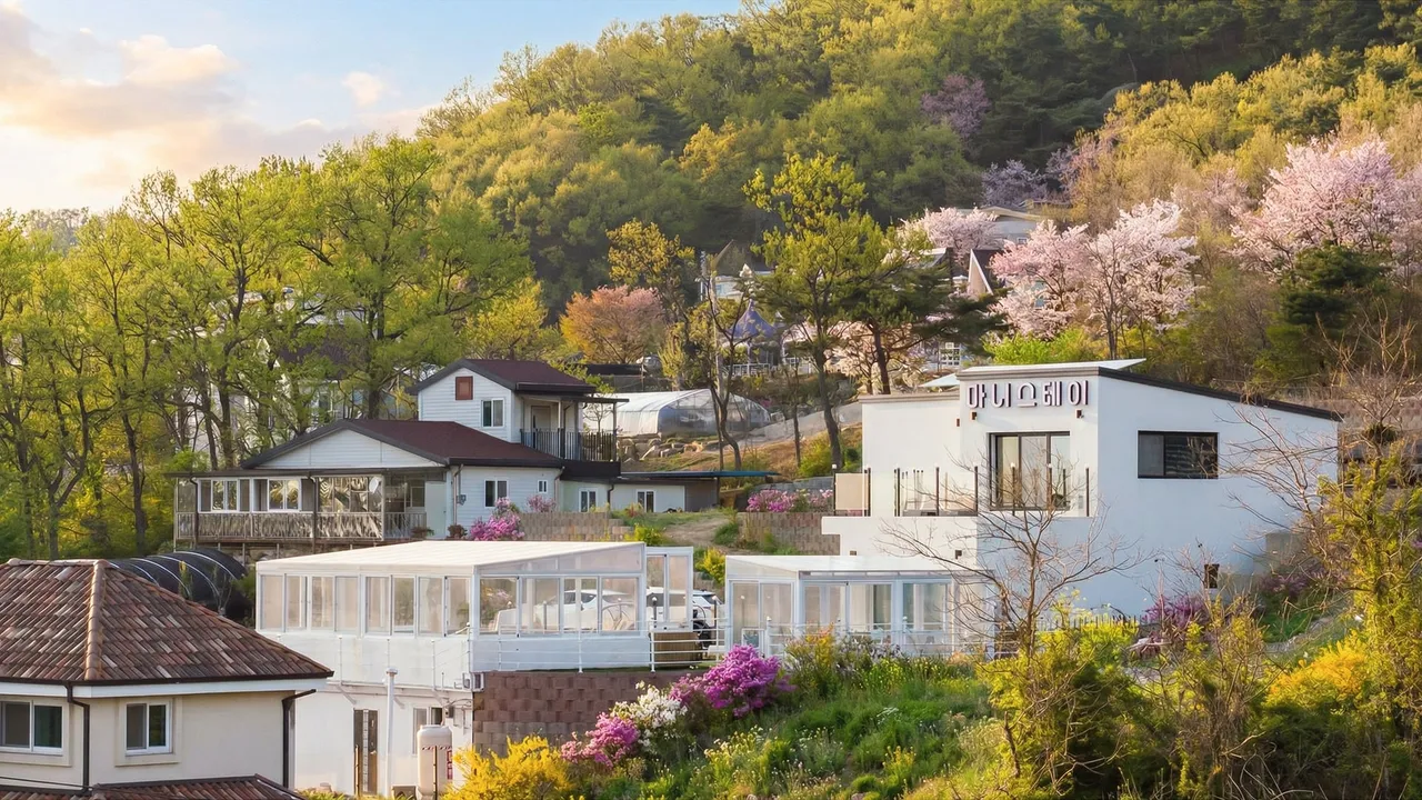 마니스테이 사진