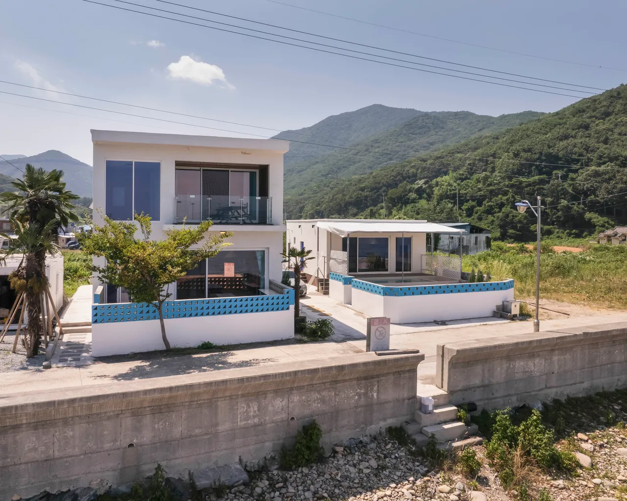 대표 사진