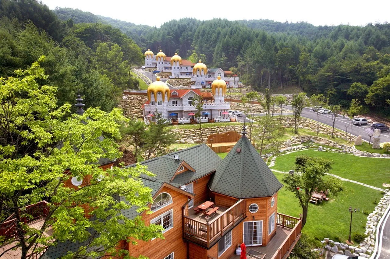 숲속의 요정 사진