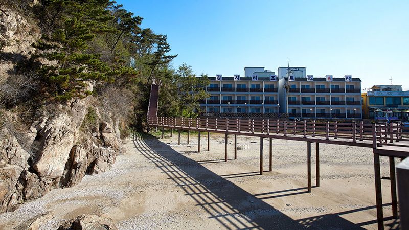 전경