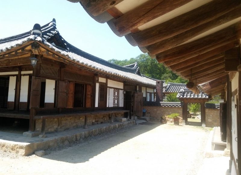 대표사진