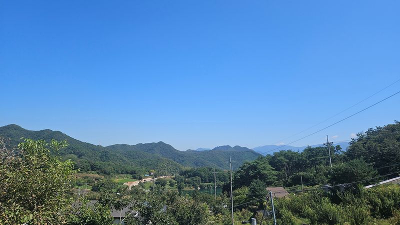 전경